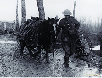 War Horses - Simon Butler [KSIĄŻKA]