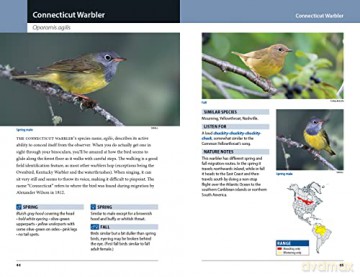 Warblers Of Eastern North America - Chris G Earley [KSIĄŻKA]