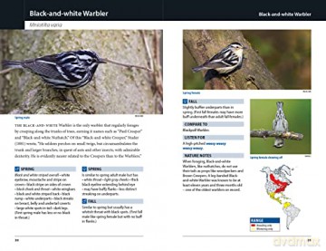 Warblers Of Eastern North America - Chris G Earley [KSIĄŻKA]
