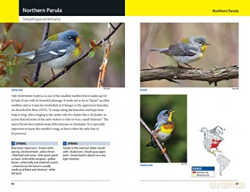 Warblers Of Eastern North America - Chris G Earley [KSIĄŻKA]