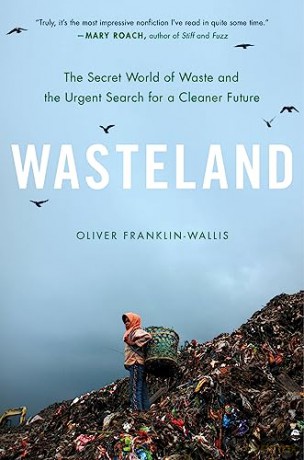 Wasteland - Oli Franklin-Wallis [KSIĄŻKA]
