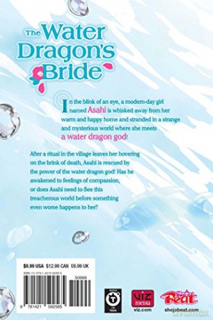 Water Dragons Bride Vol 2 - Rei Toma [KSIĄŻKA]