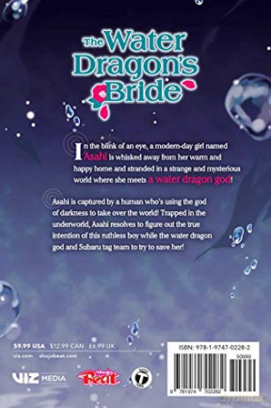 Water Dragons Bride Vol 8 - Rei Toma [KSIĄŻKA]