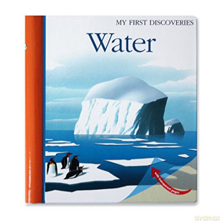 Water First Discoveries Board [KSIĄŻKA]