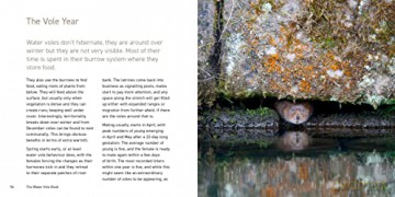 Water Vole - Hugh Warwick [KSIĄŻKA]