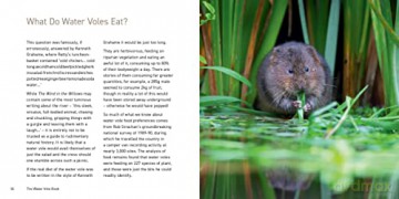 Water Vole - Hugh Warwick [KSIĄŻKA]