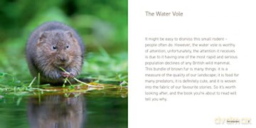 Water Vole - Hugh Warwick [KSIĄŻKA]