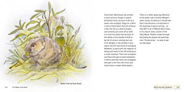 Water Vole - Hugh Warwick [KSIĄŻKA]