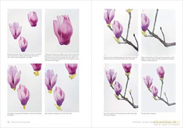 Watercolor Flowers Chinese Style - Lu He [KSIĄŻKA]
