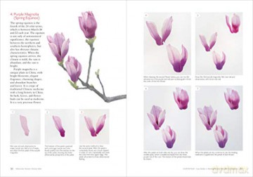 Watercolor Flowers Chinese Style - Lu He [KSIĄŻKA]