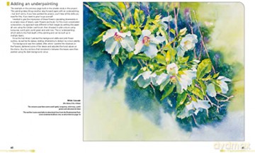 Watercolour Flowers For/Absolute Beginne - Fiona Peart [KSIĄŻKA]