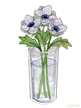 Watercolour Lessons - Emma Lefebvre [KSIĄŻKA]