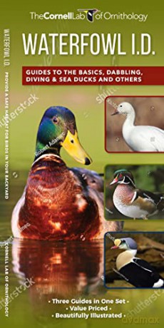 Waterfowl Id Set - Kevin J. Mcgowan [KSIĄŻKA]