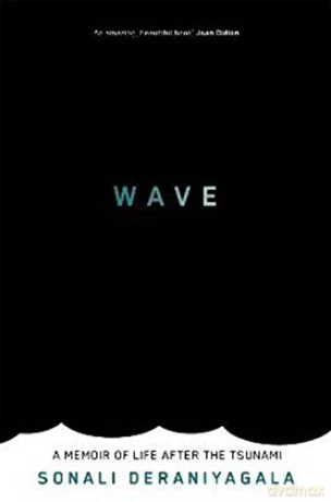 Wave - Sonali Deraniyagala [KSIĄŻKA]