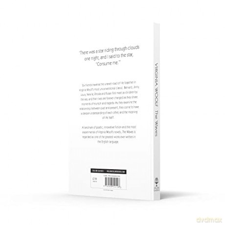 Waves Classics Pb - Virginia Woolf [KSIĄŻKA]
