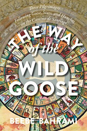 Way Wild Goose 3 Pilgrimages Followinp [KSIĄŻKA]