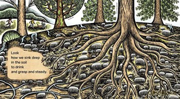 We Are Branches Hb - Sidman Joyce [KSIĄŻKA]