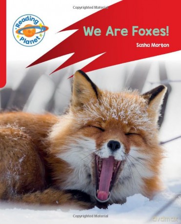 We Are Foxes Red A - Sasha Morton [KSIĄŻKA]