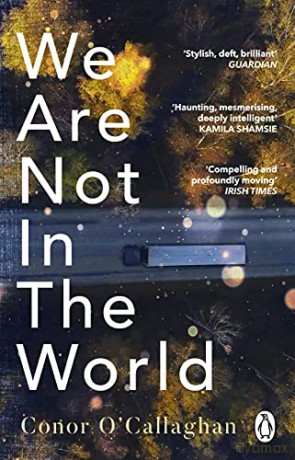 We Are Not In The World - Conor O'callaghan [KSIĄŻKA]