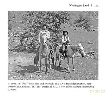 We Are The Land - Damon B. Akins [KSIĄŻKA]