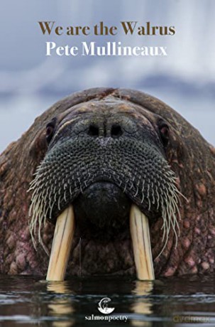 We Are The Walrus [KSIĄŻKA]