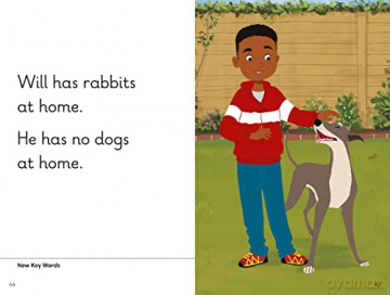 We Like Rabbits Level 3a - Ladybird [KSIĄŻKA]