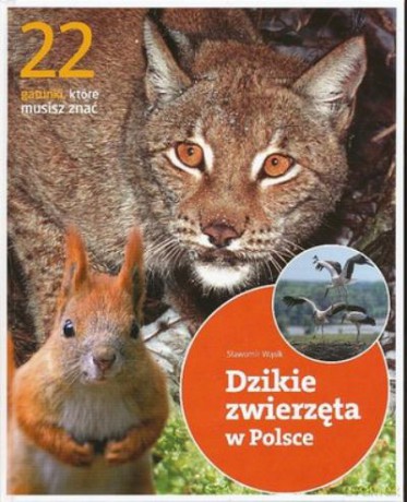 Dzikie Zwierzęta w Polsce - Wąsik Sławomir [KSIĄŻKA]