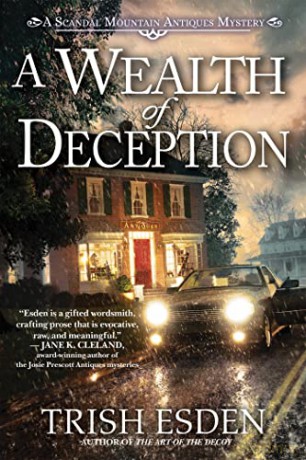 Wealth Of Deception A - Trish Esden [KSIĄŻKA]