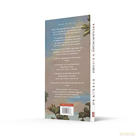 Wednesdays Child - Yiyun Li [KSIĄŻKA]