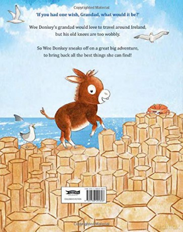 Wee Donkeys Treasure Hunt - Erika Mcgann [KSIĄŻKA]