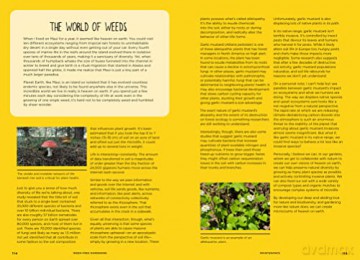 Weed Free Gardening - Tasha Greer [KSIĄŻKA]