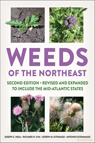 Weeds Of The Northeast - Joseph C. Neal [KSIĄŻKA]