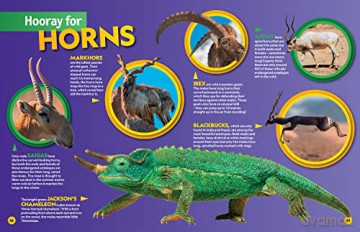 Weird But True 2023 - Nat/Geographic Kids [KSIĄŻKA]