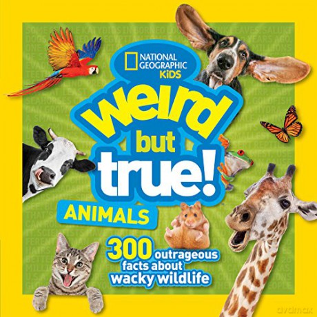 Weird But True Animals - National Geographic [KSIĄŻKA]