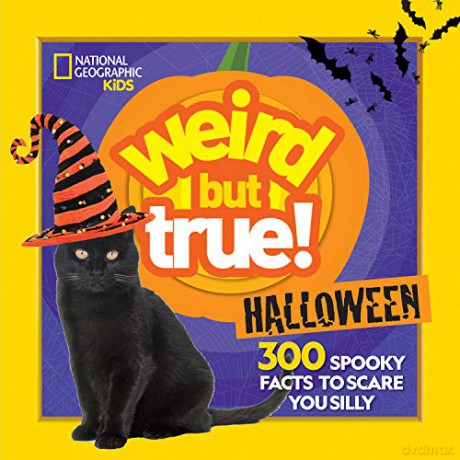 Weird But True Halloween - Julie Beer [KSIĄŻKA]