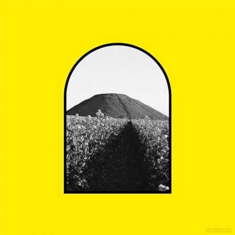 Weird Walk - Weird Walk [KSIĄŻKA]