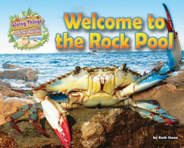 Welcome To The Rock Pool - Ruth Owen [KSIĄŻKA]