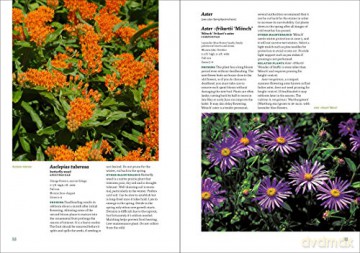 Well Tended Perennial Garden - Tracy Disabato-Aust [KSIĄŻKA]