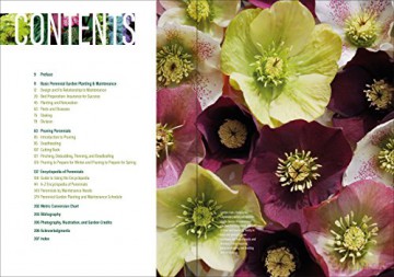 Well Tended Perennial Garden - Tracy Disabato-Aust [KSIĄŻKA]