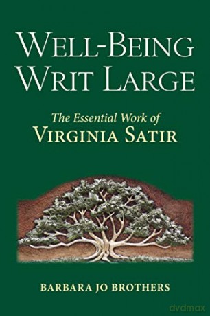 Wellbeing Writ Large - Barbara Jo Brothers [KSIĄŻKA]