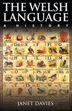 Welsh Language A History - Janet Davies [KSIĄŻKA]