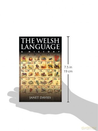 Welsh Language A History - Janet Davies [KSIĄŻKA]