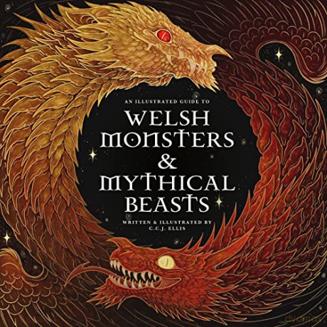 Welsh Monsters Mythical Beasts - C.C.J. Ellis [KSIĄŻKA]