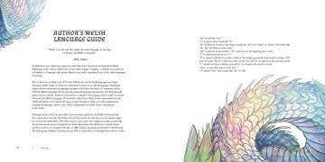 Welsh Monsters Mythical Beasts - C.C.J. Ellis [KSIĄŻKA]