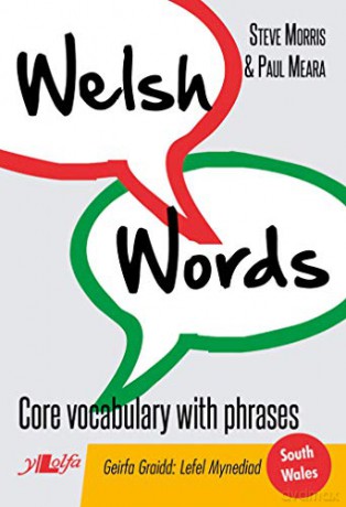 Welsh Words Geirfa Graidd Lefel Mynediad - Steve Morris [KSIĄŻKA]