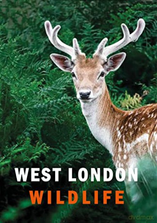 West London Wildlife - Ian Alexander [KSIĄŻKA]