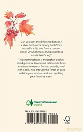 Westonbirt Arboretums Tree Spotters Gde - Dan Crowley [KSIĄŻKA]