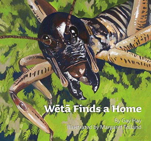 Weta Finds A Home - Gay Hay [KSIĄŻKA]