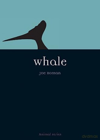Whale - Joseph Roman [KSIĄŻKA]