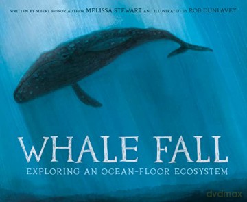 Whale Fall - Melissa Stewart [KSIĄŻKA]